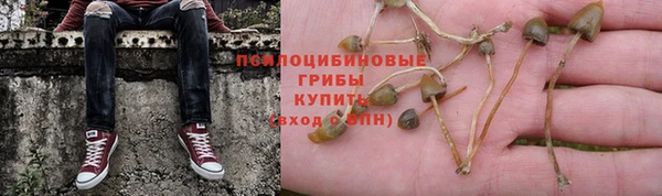 винт Алзамай