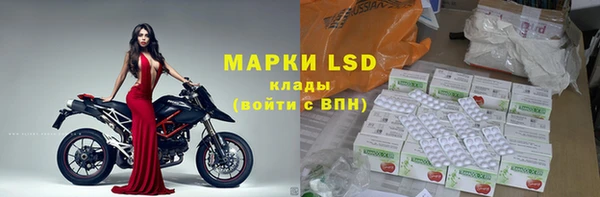 винт Алзамай