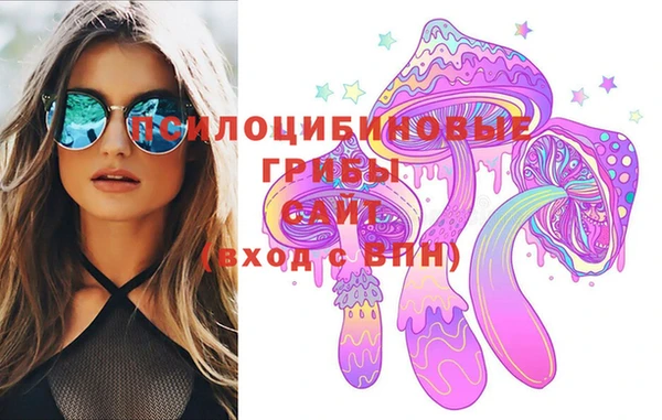 МДПВ Протвино