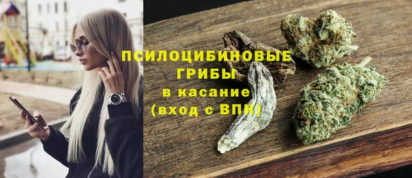 винт Алзамай