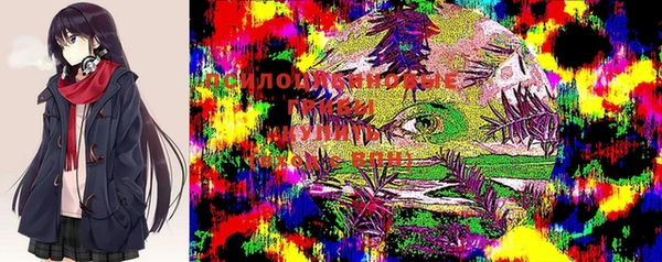 винт Алзамай