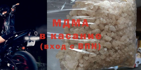 индика Алексин