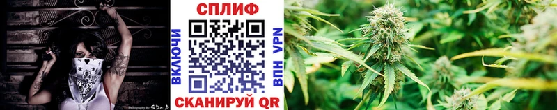 Каннабис OG Kush хочу Ликино-Дулёво